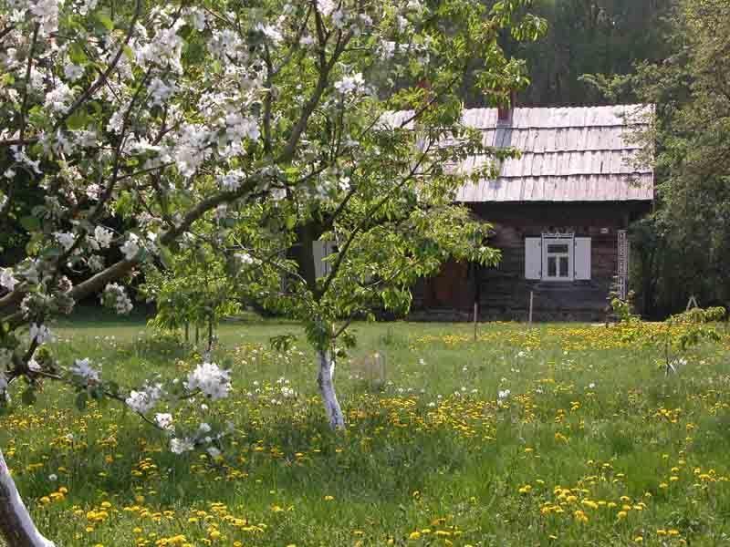 Вилла Agroturystyka U Ostrowskich Chartow Экстерьер фото