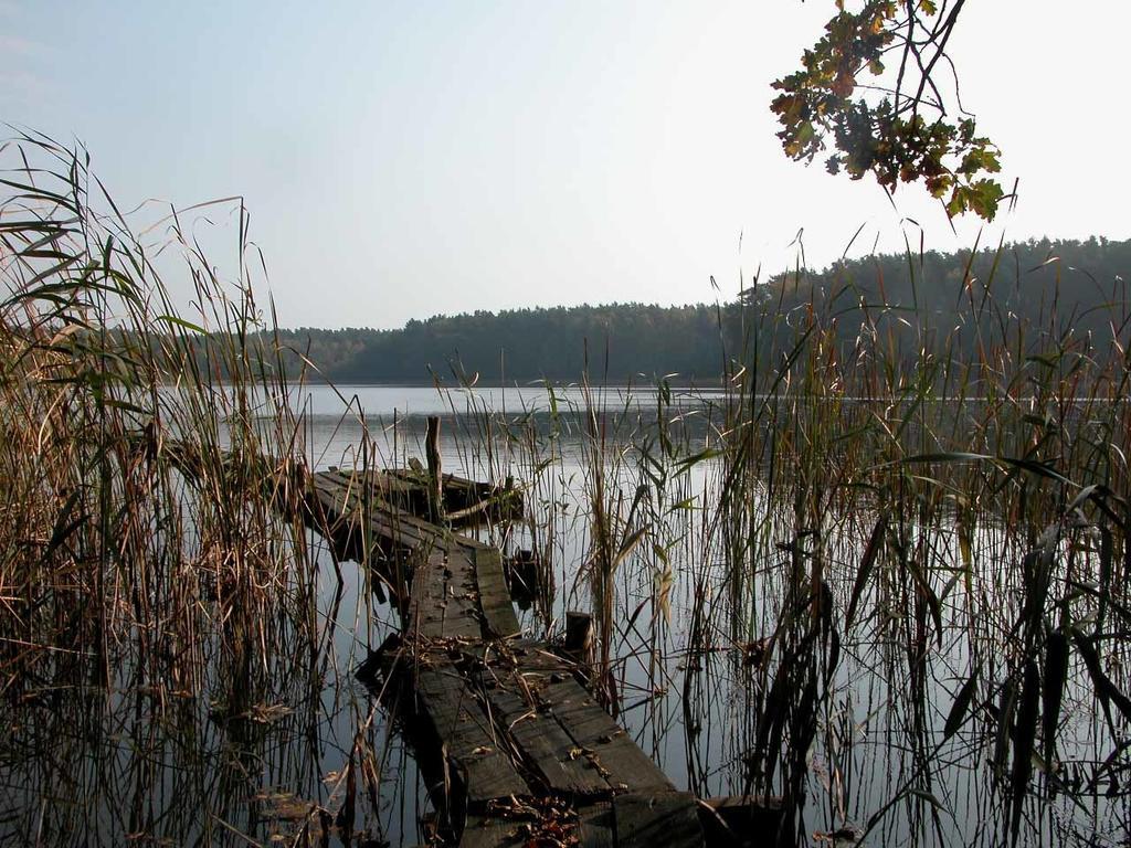 Вилла Agroturystyka U Ostrowskich Chartow Экстерьер фото