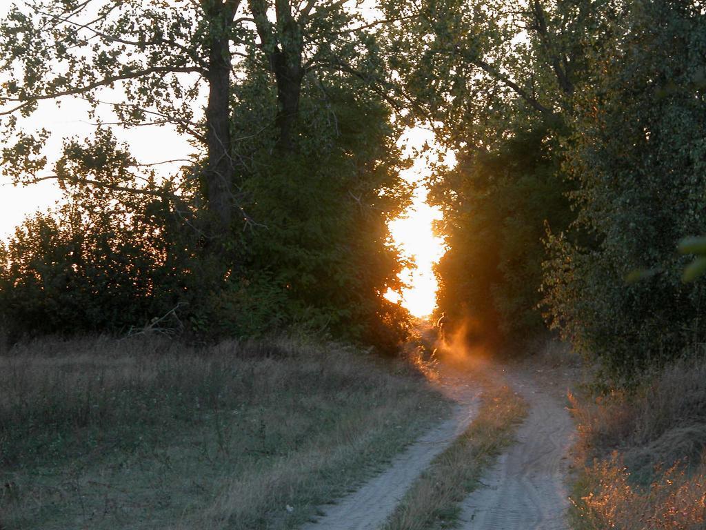 Вилла Agroturystyka U Ostrowskich Chartow Экстерьер фото