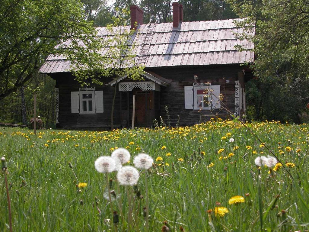 Вилла Agroturystyka U Ostrowskich Chartow Экстерьер фото